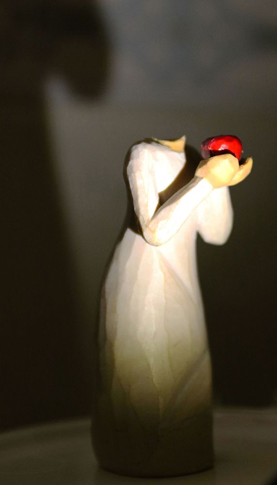 Фотография автора behbood mohajeri jolandan