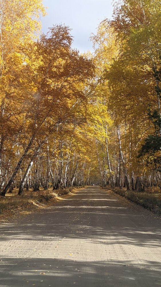 Photograph by Оксана Никулина