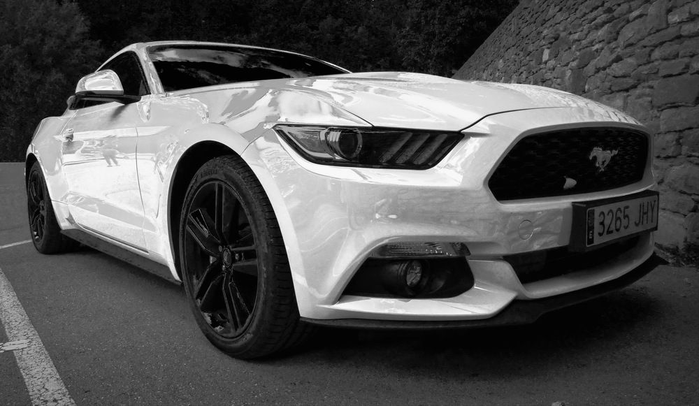 Photograph by Aleksandr Larionov