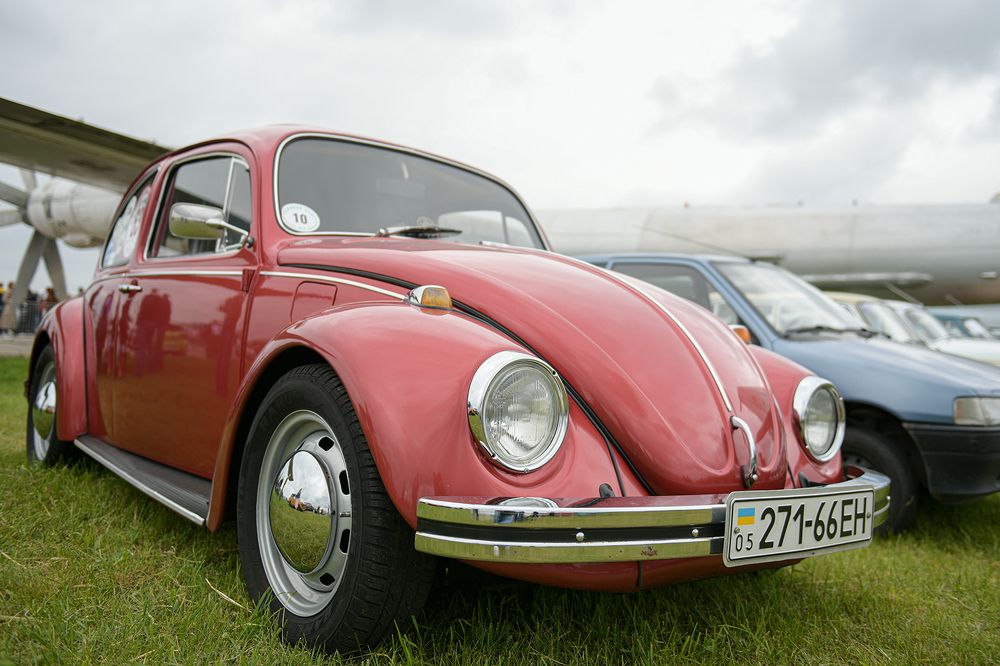 Фотография автора Анна Пикаленко