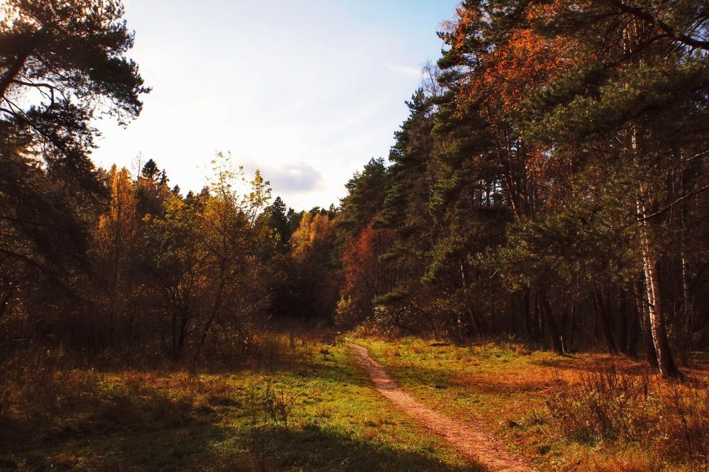 Photograph by Aleksandr Larionov