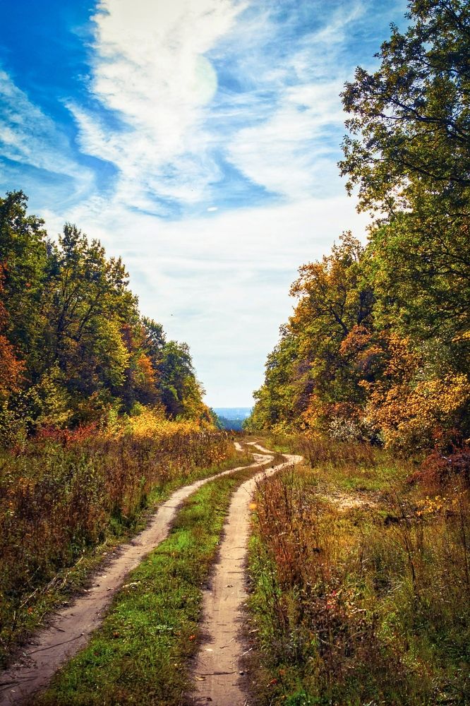 Фотография автора Андрей Потапов