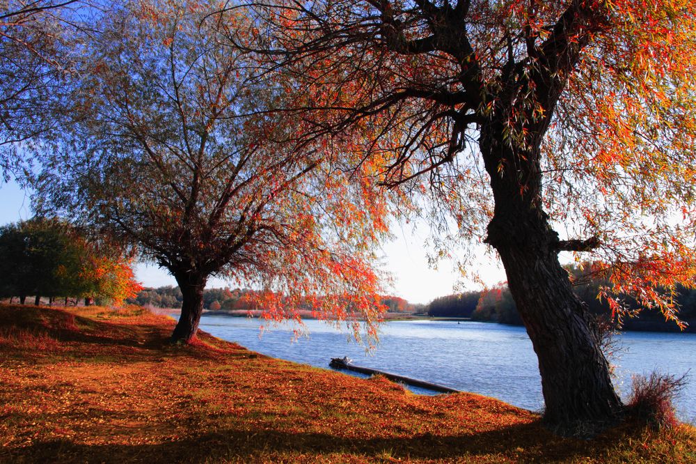 Photograph by Владимир Бурцев