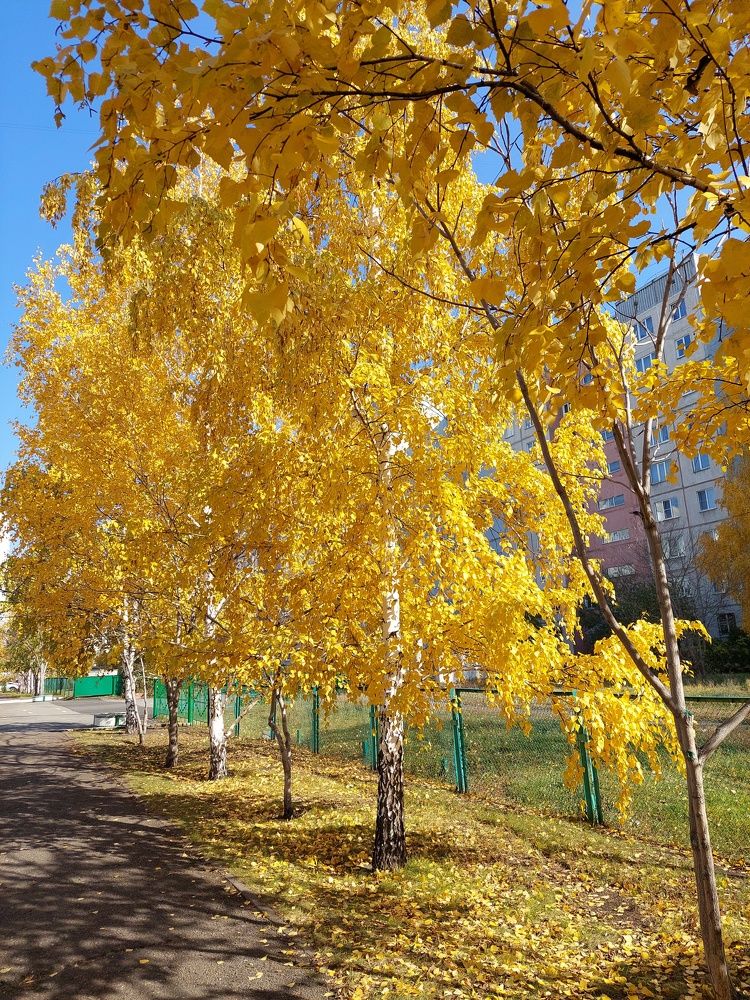 Photograph by Андрей_Юденков