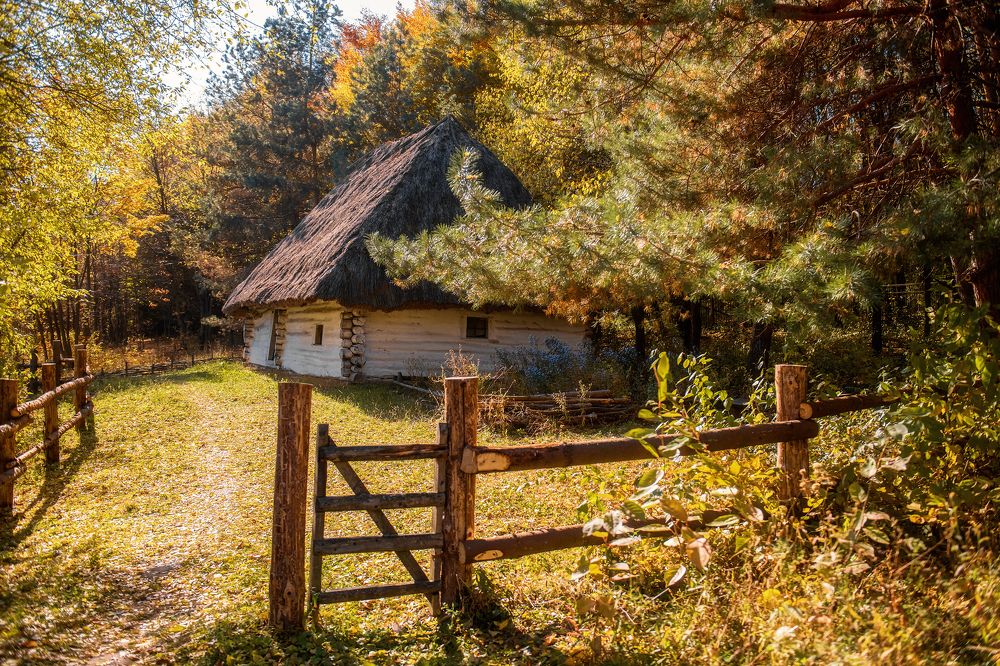 Фотография автора Анна Пикаленко