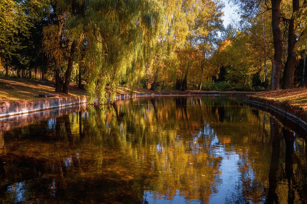 Фотография автора Анна Пикаленко