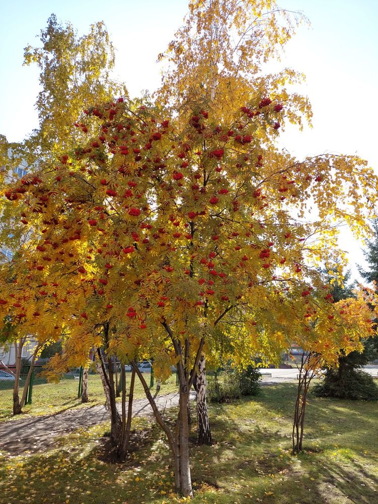 Photograph by Андрей_Юденков