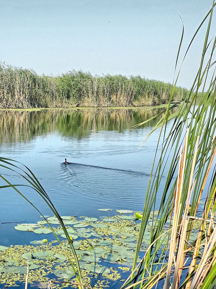 Photograph by Игорь Лотыш