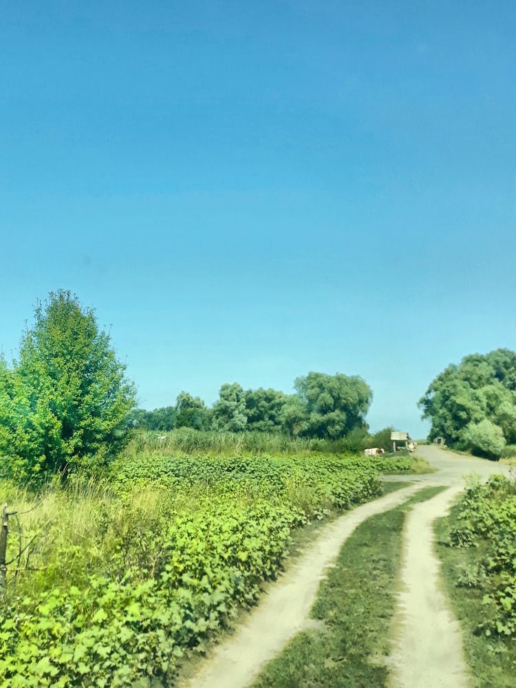 Photograph by Игорь Лотыш