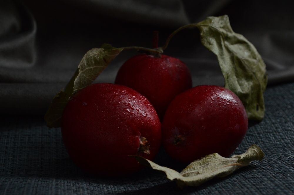 Photograph by OLga Solovyova