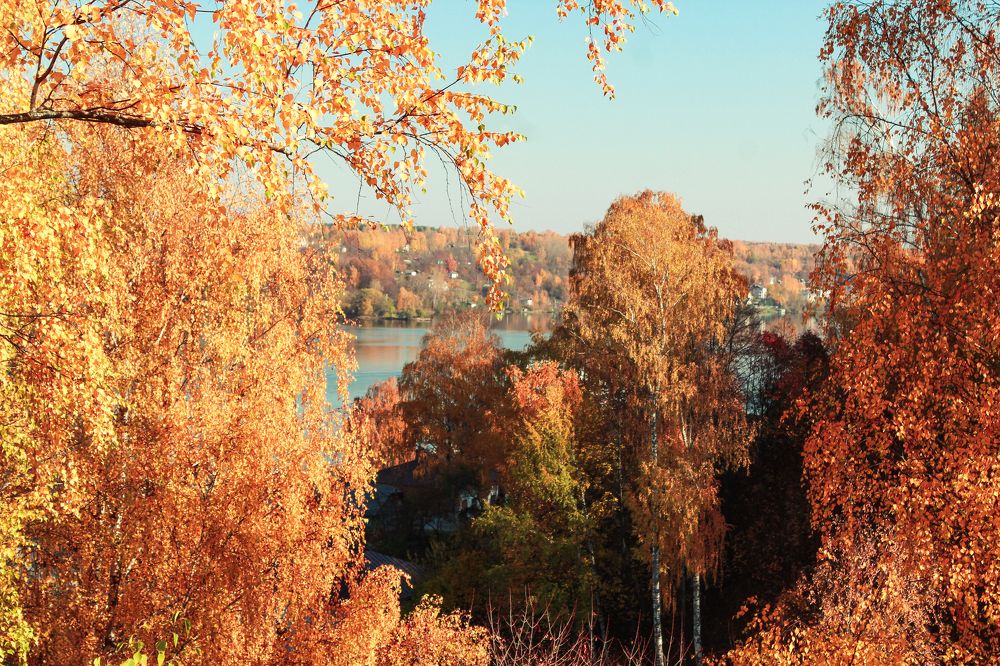 Photograph by Ковалев Николай