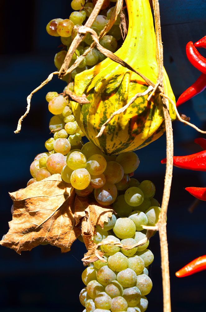 Photograph by Ирина Литичевская