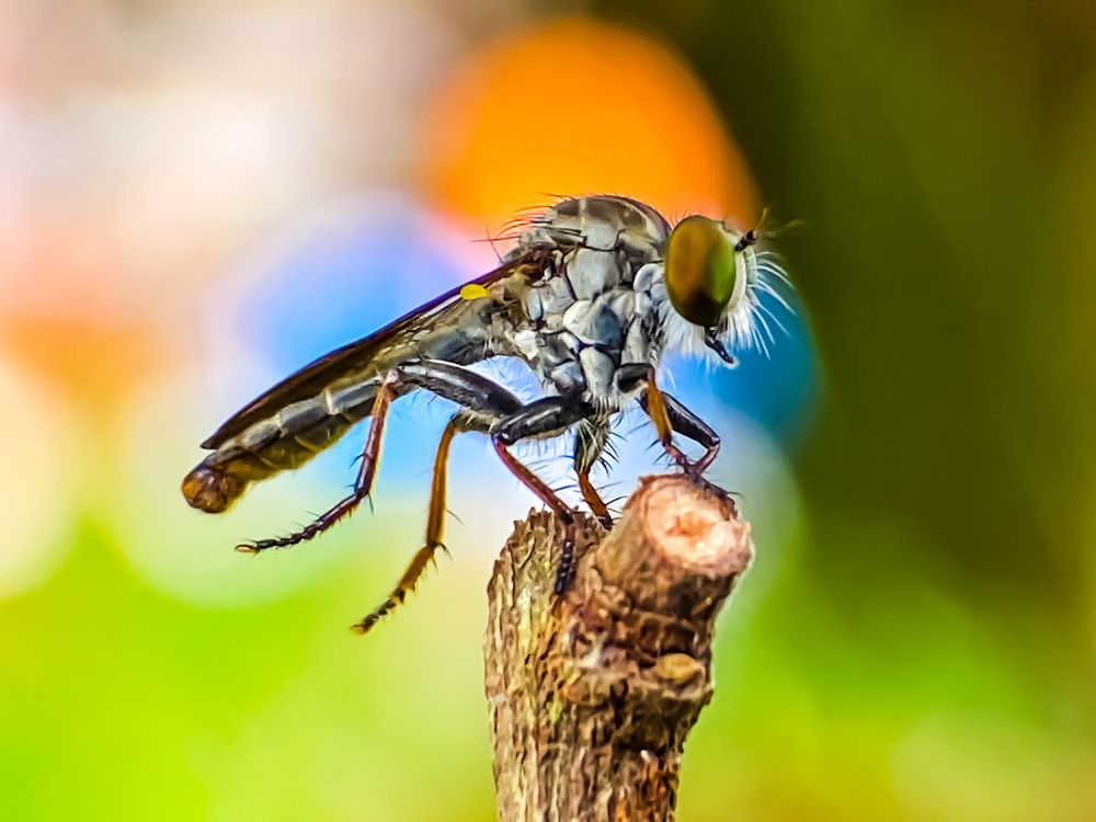 Photograph by DINH LE QUOC