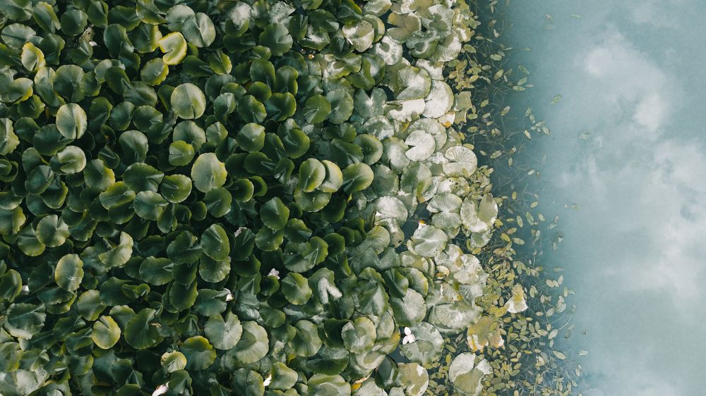 Photograph by Артём Корнев