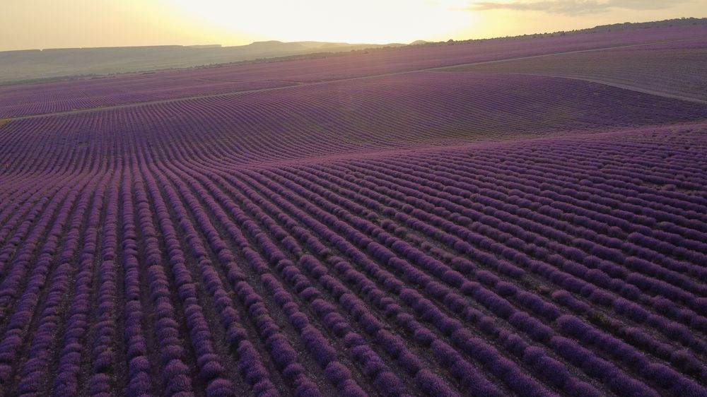 Photograph by Артём Корнев