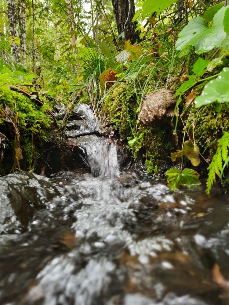 Photograph by Ксения