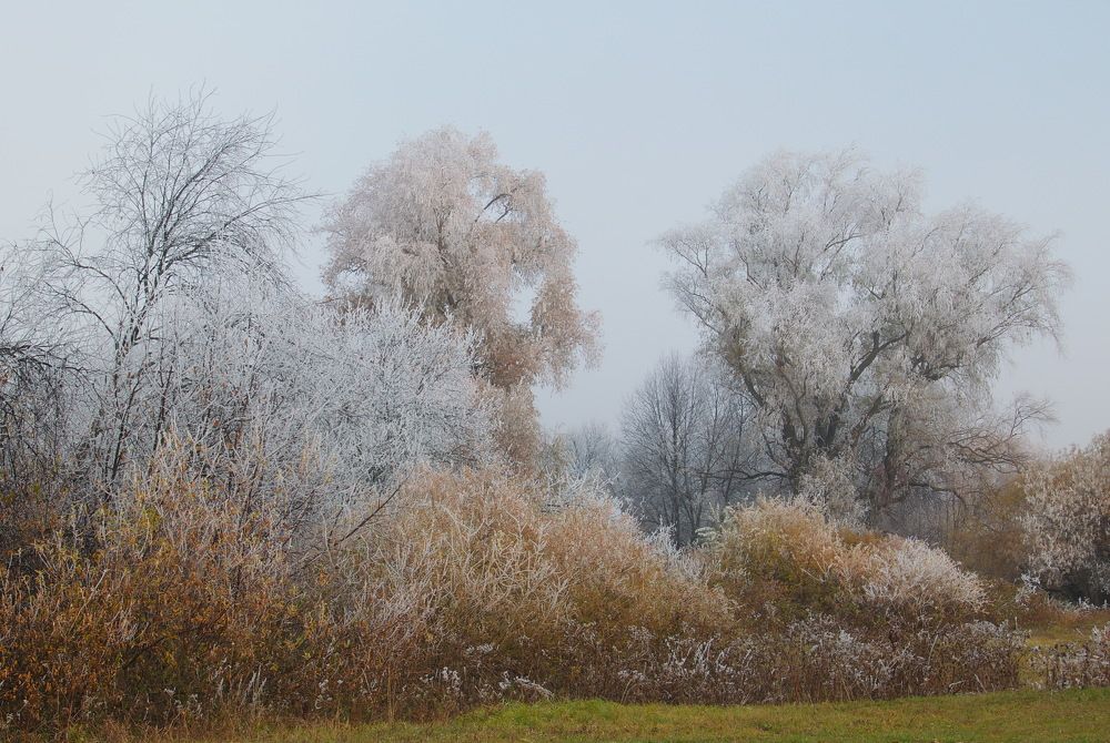 Photograph by Василий Быстрицкий