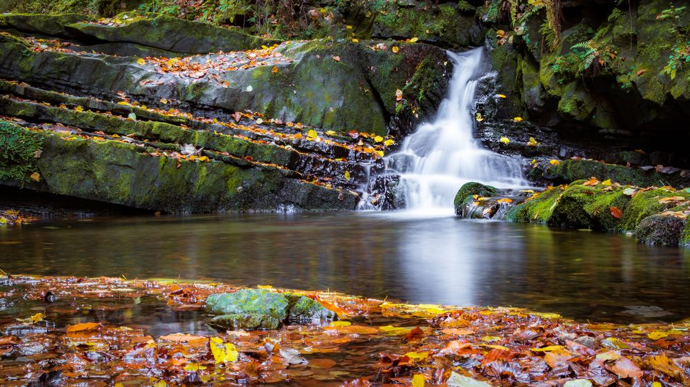 Фотография автора Іван Кочержат