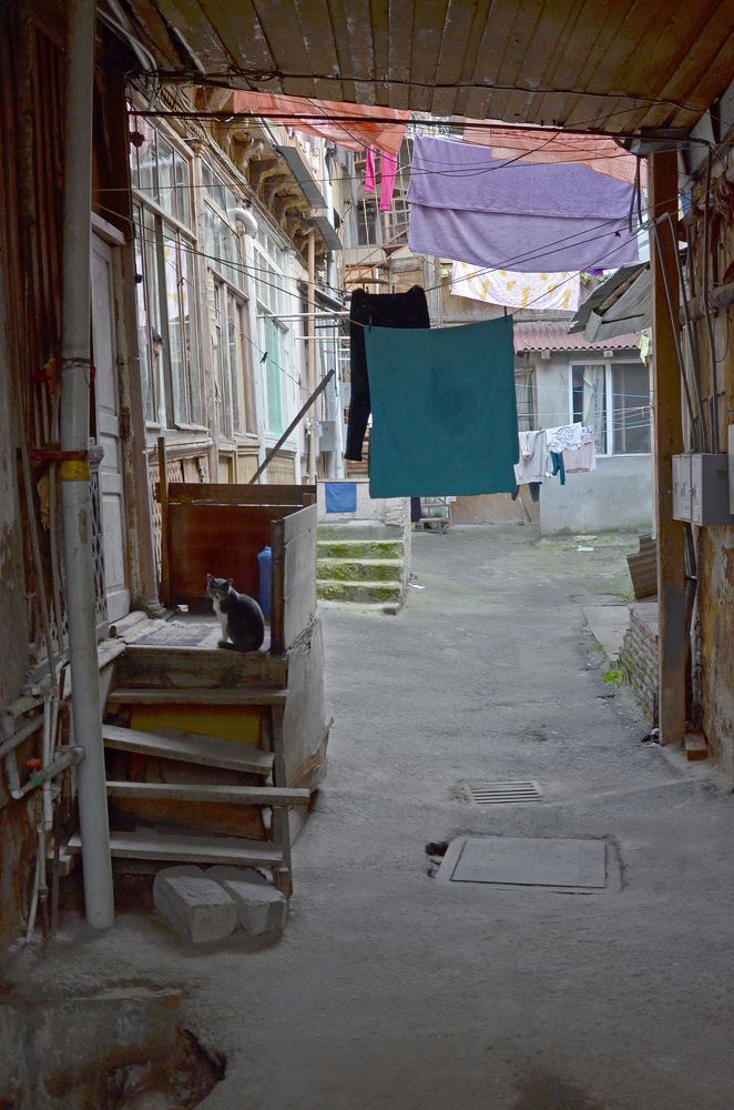 Photograph by Ирина Литичевская