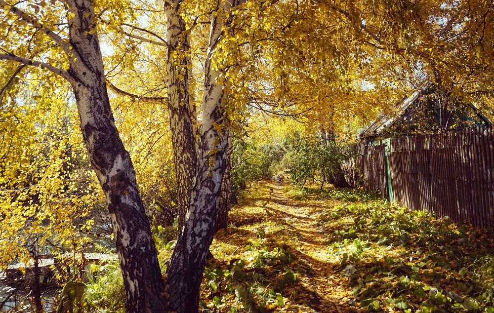 Photograph by Елена Фролова