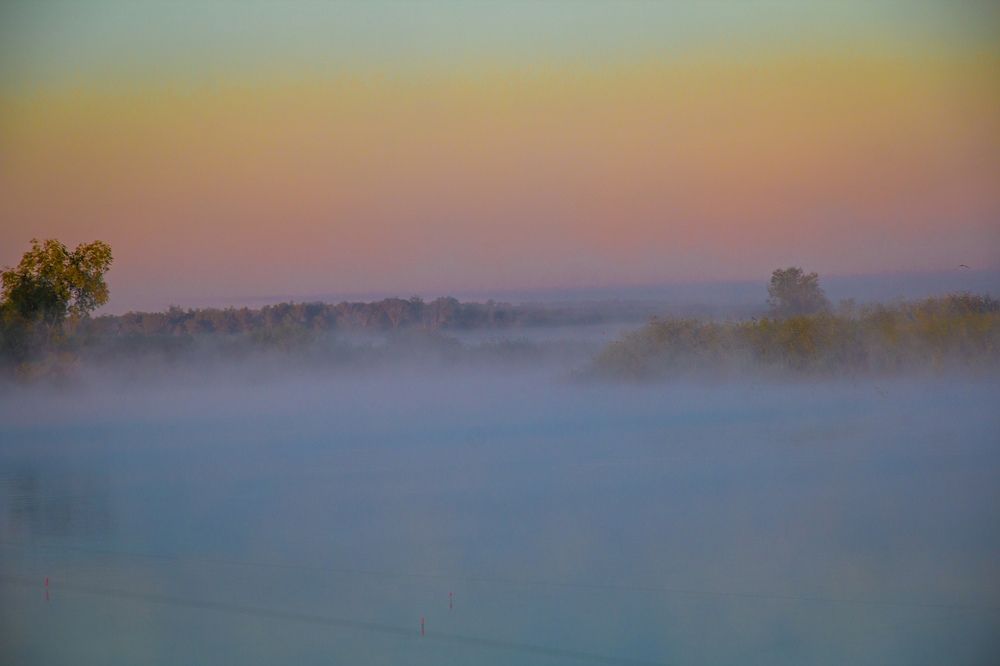 Утренний туман на старице.
