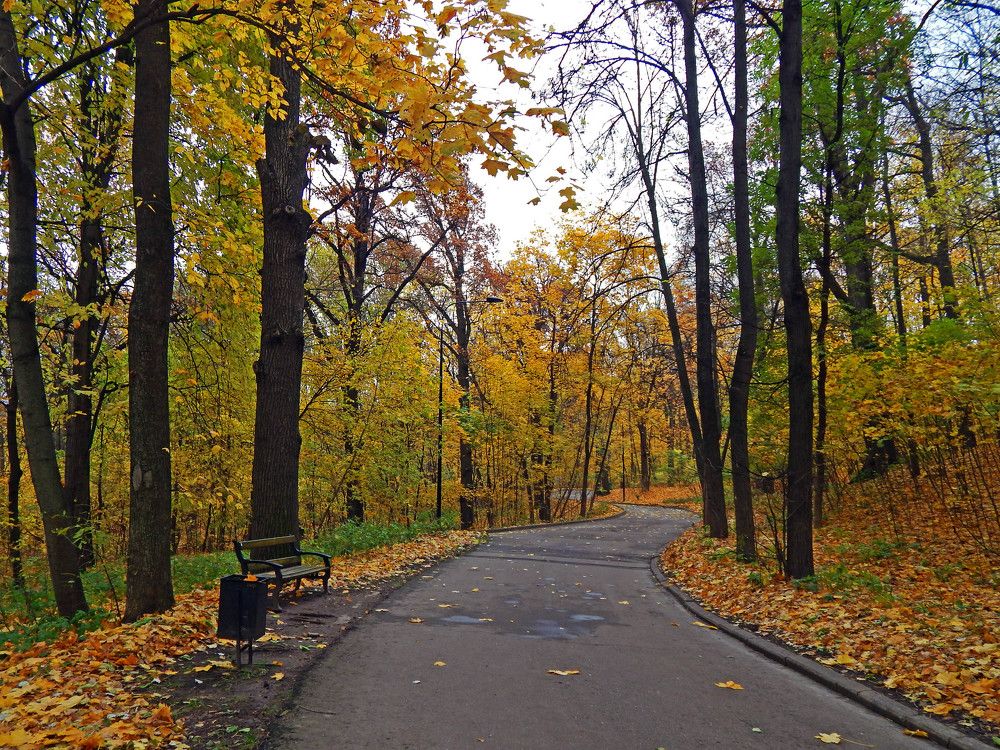 Photograph by Ольга Владимировна Мухина