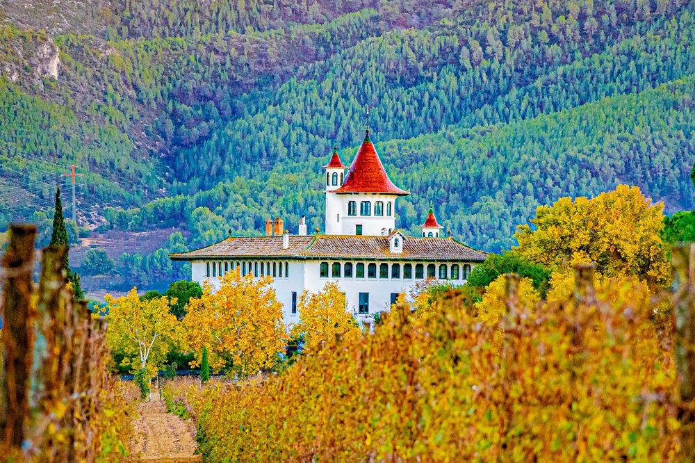 Фотография автора Alejandro Suwezda