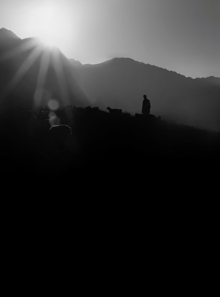 Photograph by ali jafari