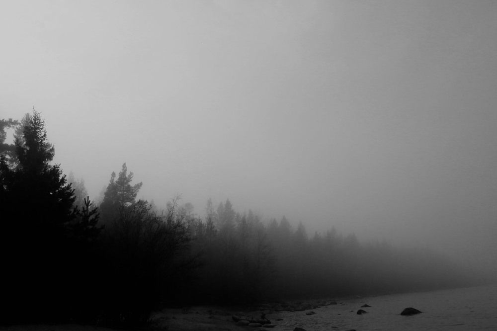 Photograph by Ирина Гентош