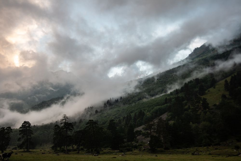 Photograph by Ирина Гентош