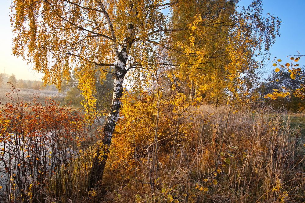 Photograph by Анатолий Буланкин