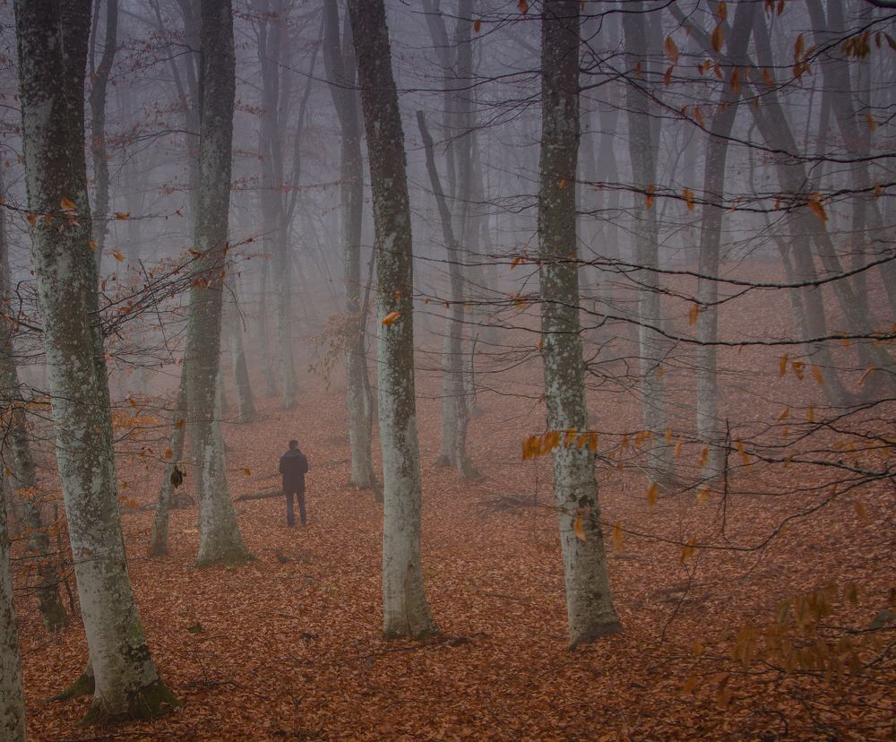 Photograph by Александр Воронов