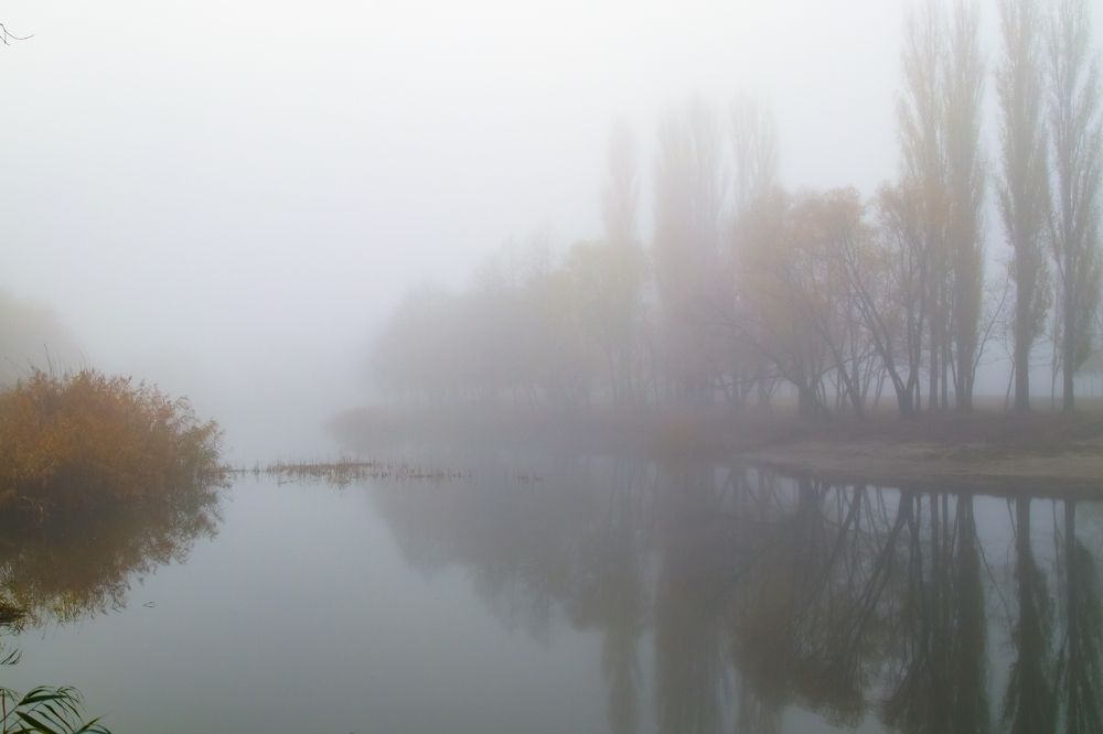 Фотография автора Андрей Потапов