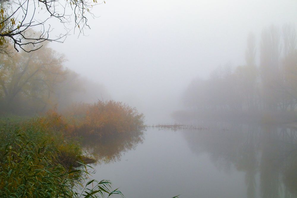 Фотография автора Андрей Потапов