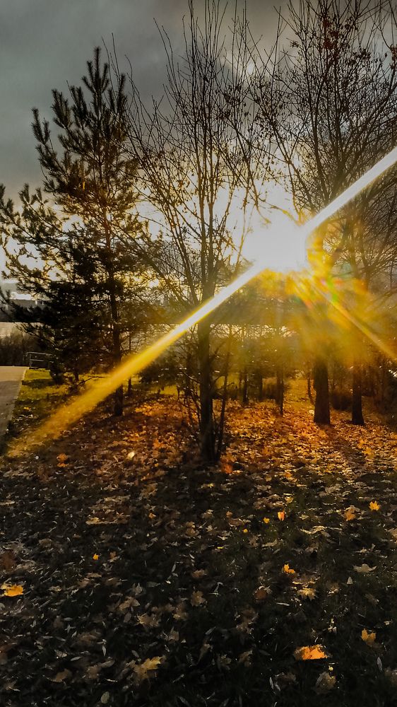 Photograph by Татьяна Хуссейн