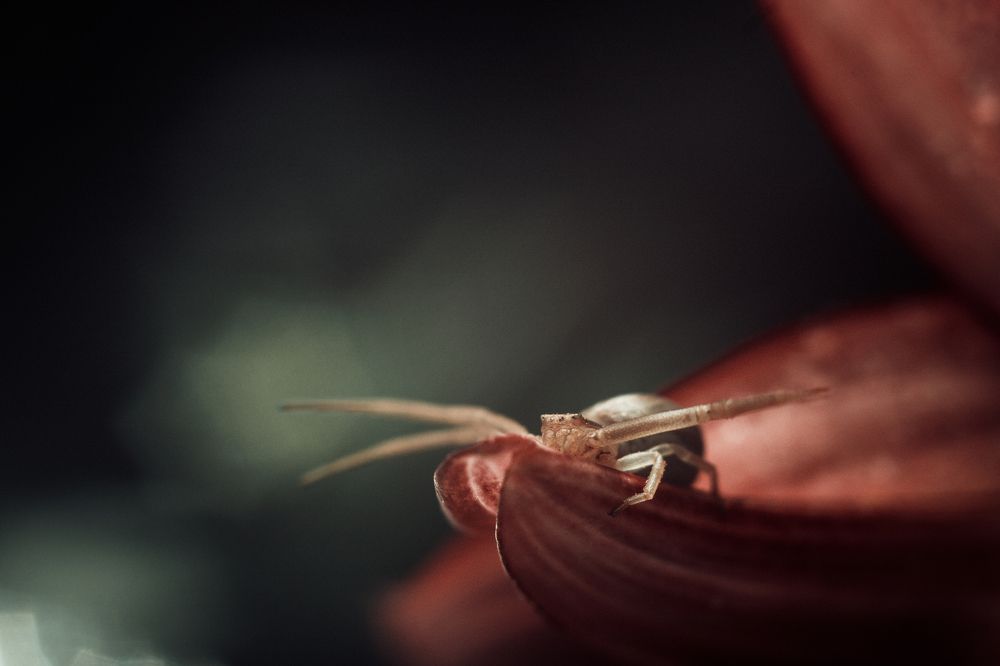 Photograph by Артём Корнев