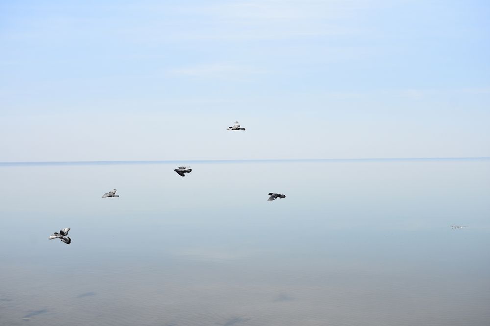 Photograph by Андрей_Юденков