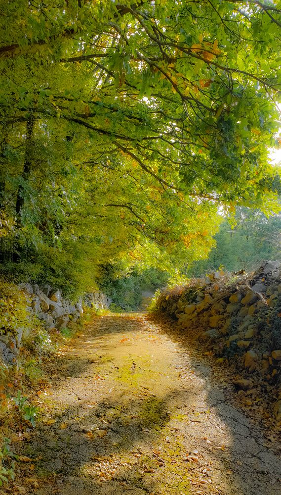 Photograph by Дмитрий Лобанов