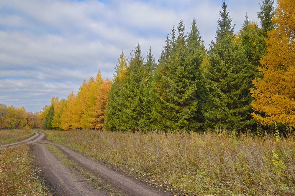 Photograph by Василий Быстрицкий