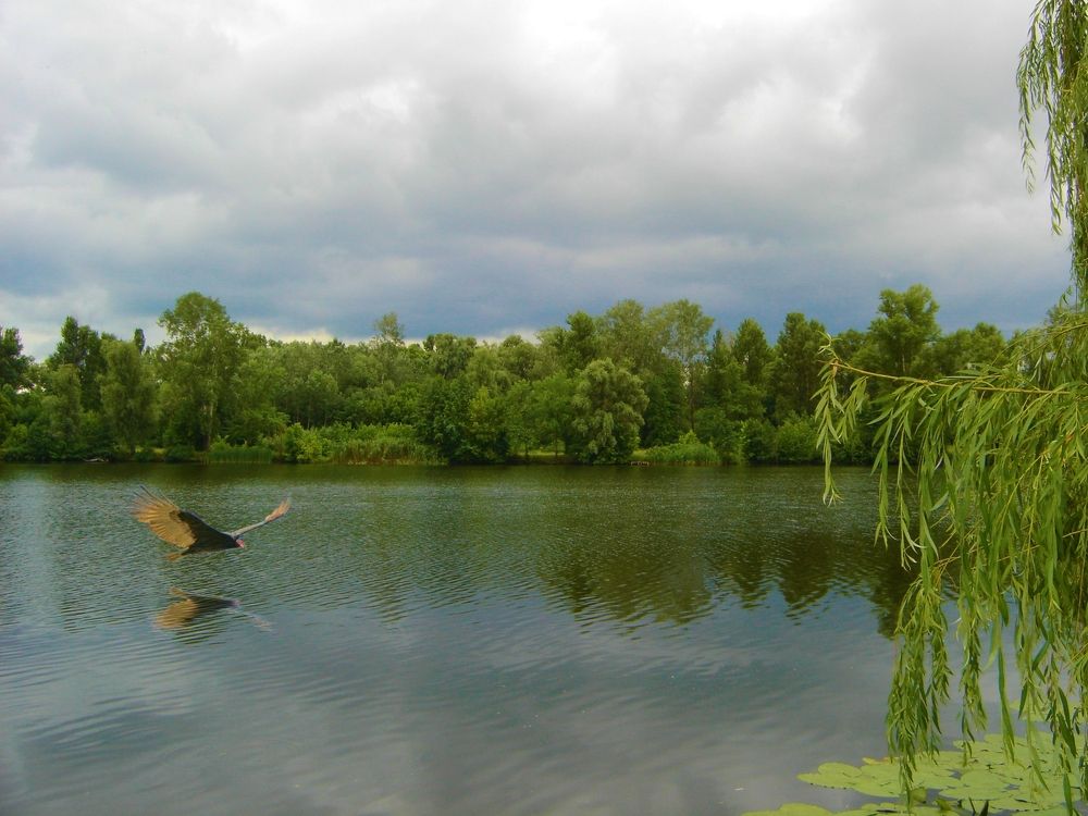 Photograph by Игорь Лотыш