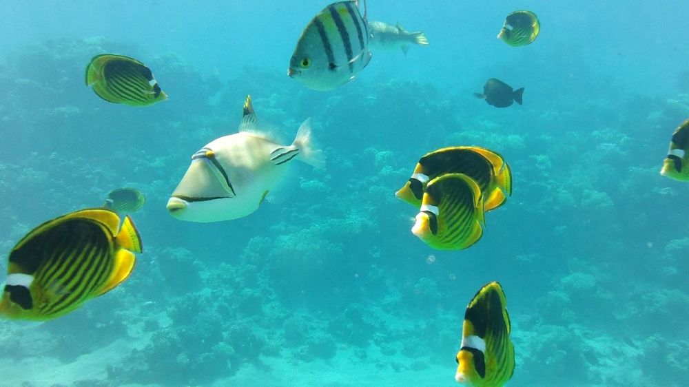 Photograph by Игорь Лотыш