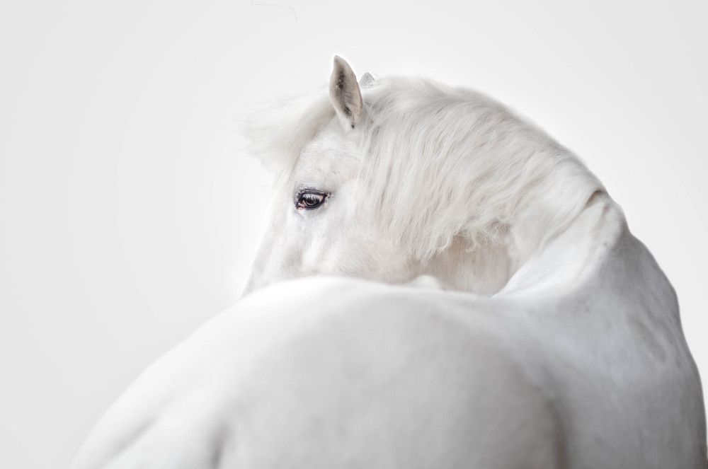 Photograph by Dorota Horváthová