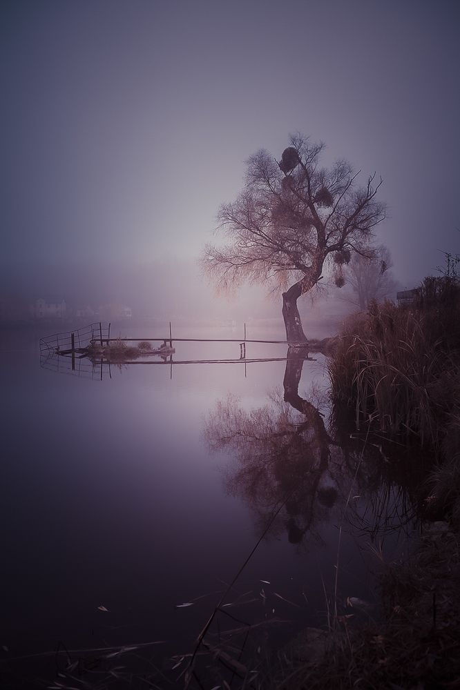 Фотография автора Анна Пикаленко