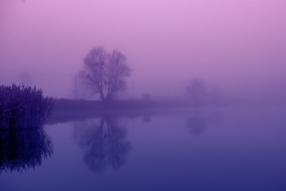 Фотография автора Анна Пикаленко