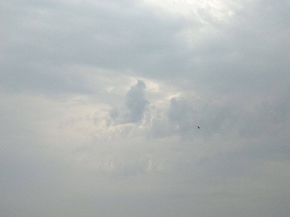 Небесный странник