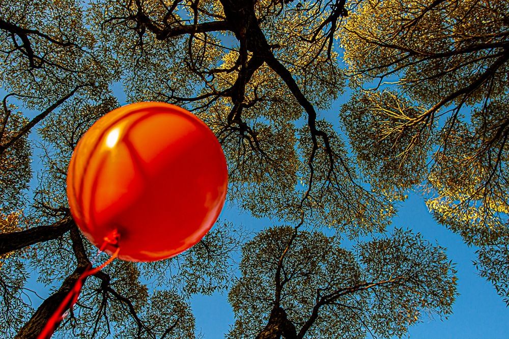 Полёт к мечте