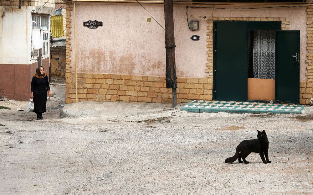 Photograph by Ольга Александрова