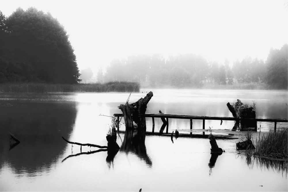 Photograph by Aleksandr Larionov