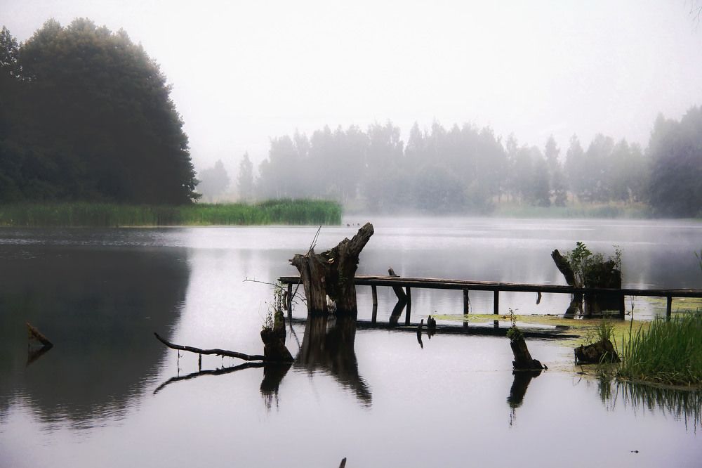 Photograph by Aleksandr Larionov