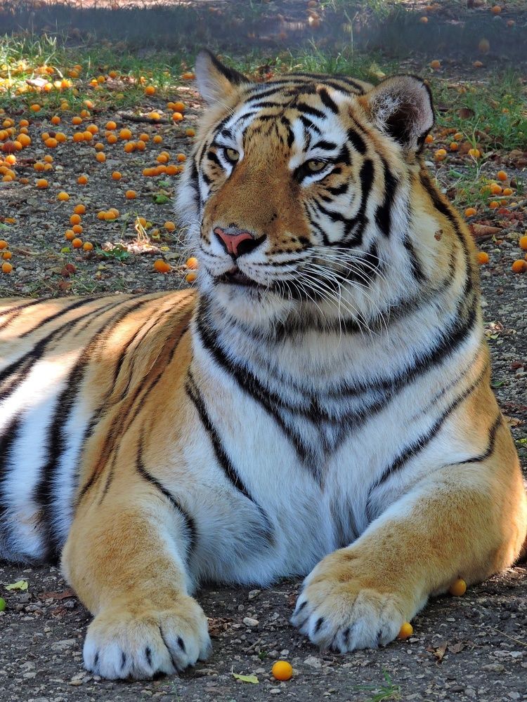 Photograph by LIDIA YUSUPOVA